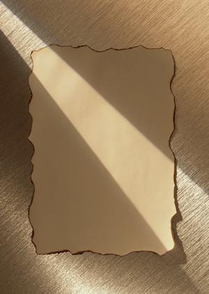 梅田で見つかる!最新釣具店ガイド2026年版